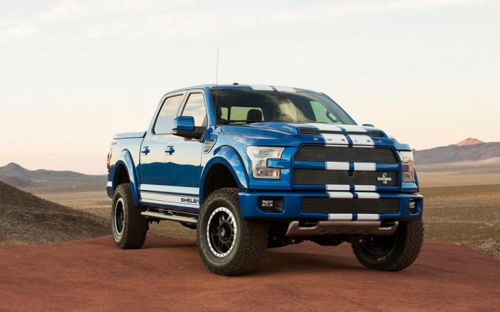 Shelby F-150/Gamintojo nuotrauka