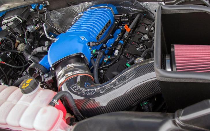 Shelby F-150/Gamintojo nuotrauka