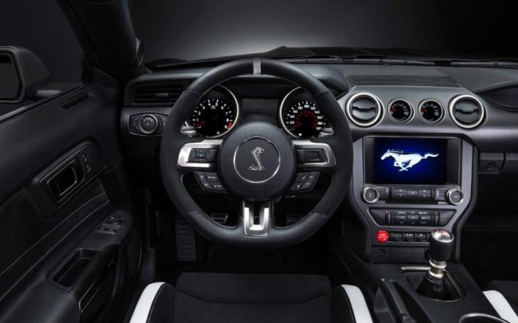 Shelby Mustang GT350R/Gamintojo nuotrauka