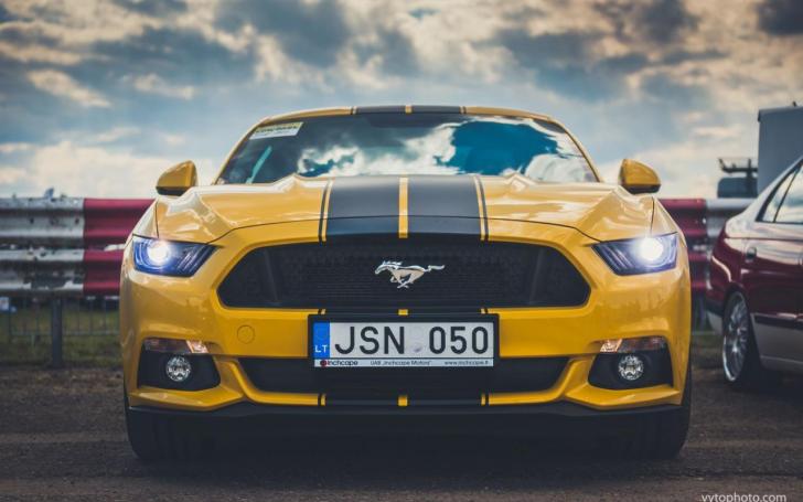 Show Off/Vytauto Pilkausko nuotrauka