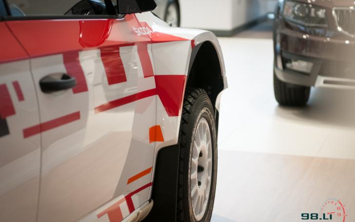 Šokda Fabia R5/Vytauto Pilkausko nuotrauka