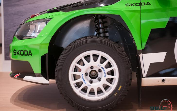 Šokda Fabia R5/Vytauto Pilkausko nuotrauka