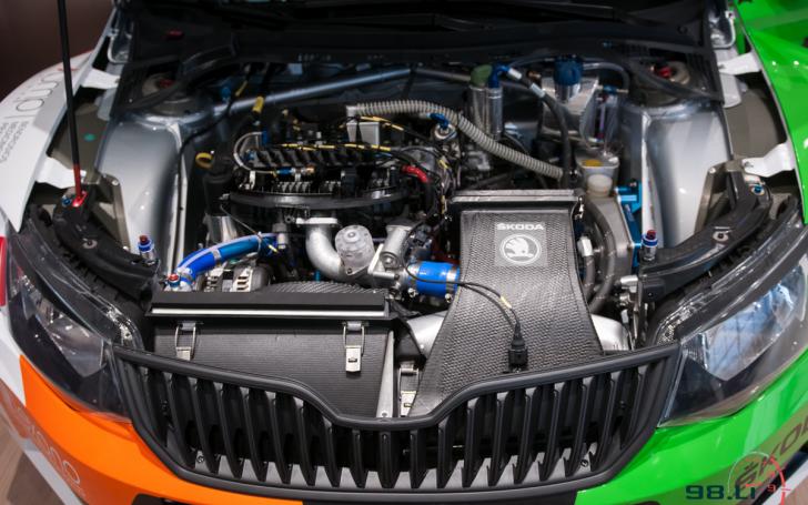 Šokda Fabia R5/Vytauto Pilkausko nuotrauka