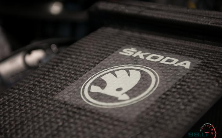 Šokda Fabia R5/Vytauto Pilkausko nuotrauka