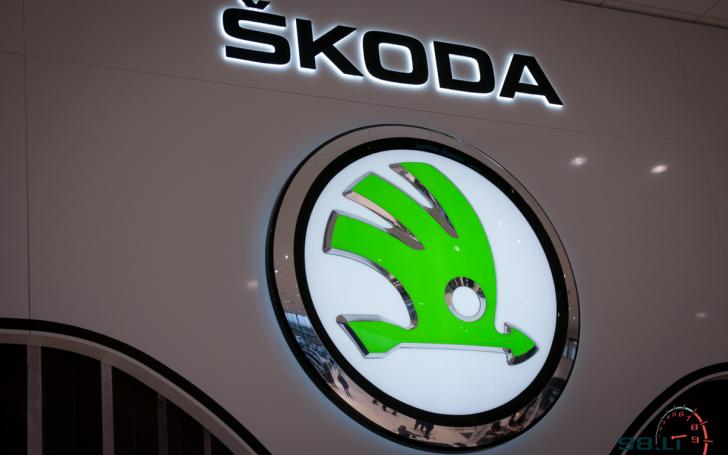 Šokda Fabia R5/Vytauto Pilkausko nuotrauka