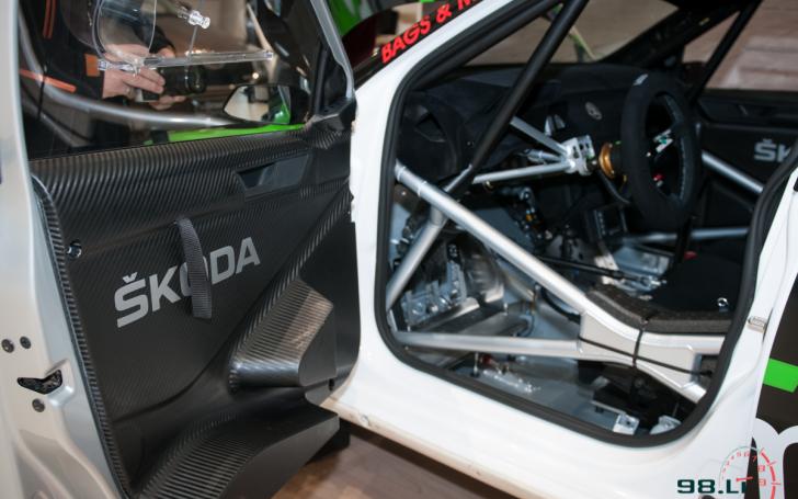 Šokda Fabia R5/Vytauto Pilkausko nuotrauka