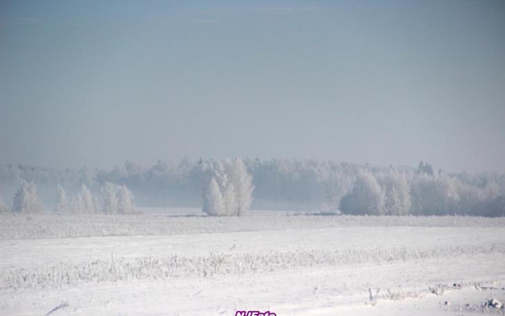 „Quattro žiema 2012" akimirka/Nerijaus Jankausko nuotrauka