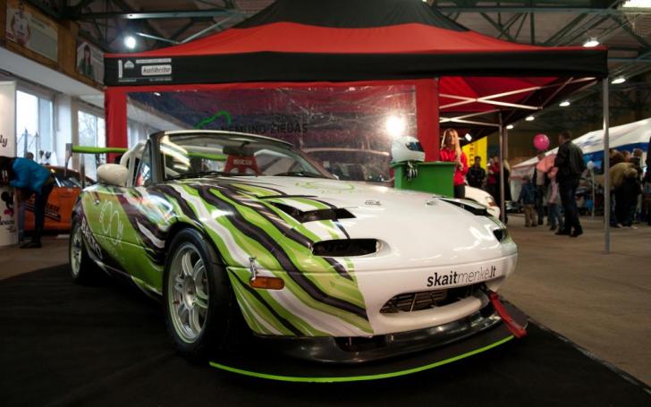 Auto Moto sporto paroda 2013/Vytauto Pilkausko nuotrauka