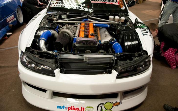 Auto Moto sporto paroda 2013/Vytauto Pilkausko nuotrauka
