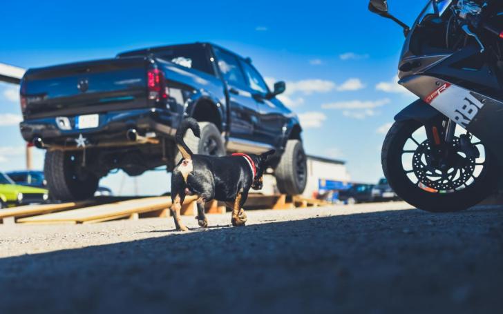 Spring Break Meet 2018/Vytauto Pilkausko nuotrauka