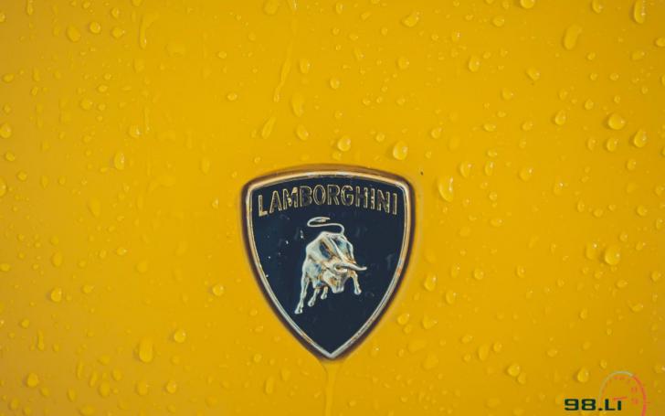 Lamborghini Gallardo/Vytauto Pilkausko nuotrauka