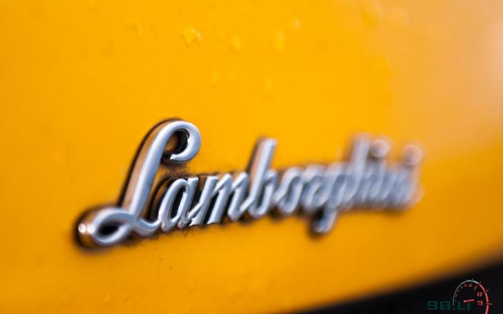 Lamborghini Gallardo/Vytauto Pilkausko nuotrauka