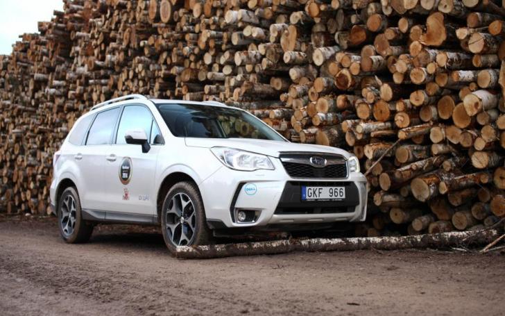 TopGear Apdovanojimai 2014/Algirdo Venskaus nuotrauka