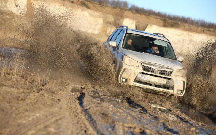 TopGear Apdovanojimai 2014/Algirdo Venskaus nuotrauka