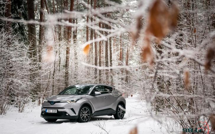 Toyota C-HR/Vytauto Pilkausko nuotrauka