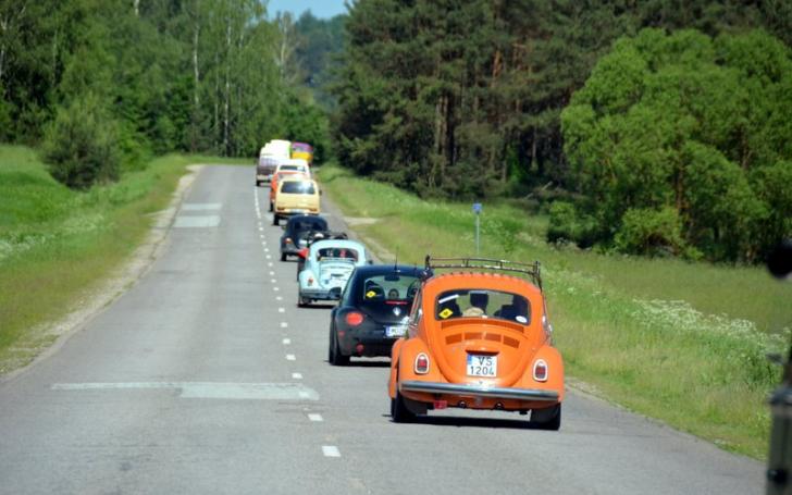 Didysis „Vabalų“ sąskrydis 2014/Sigito Mikolaičio nuotrauka