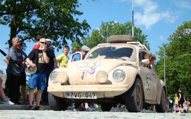 Didysis „Vabalų“ sąskrydis 2014/Sigito Mikolaičio nuotrauka