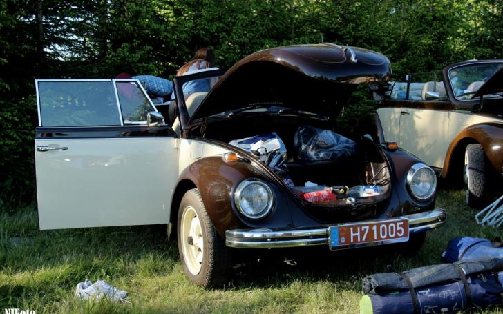 Didysis Vabalų sąskrydis 2015/NJFoto nuotrauka