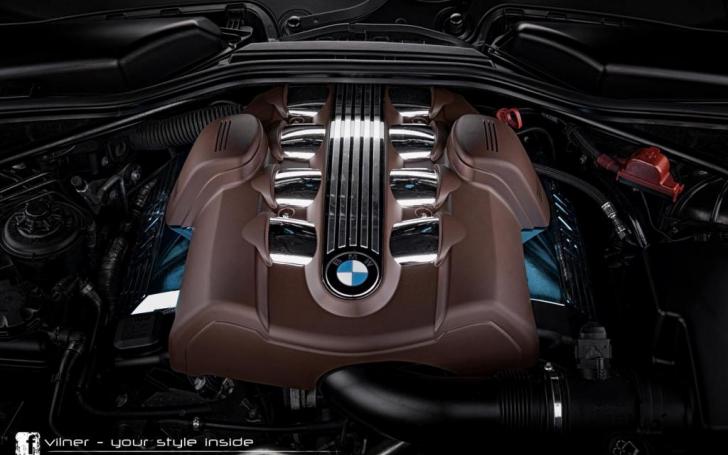 Vilner BMW 6-Series Bullshark/Gamintojo nuotrauka
