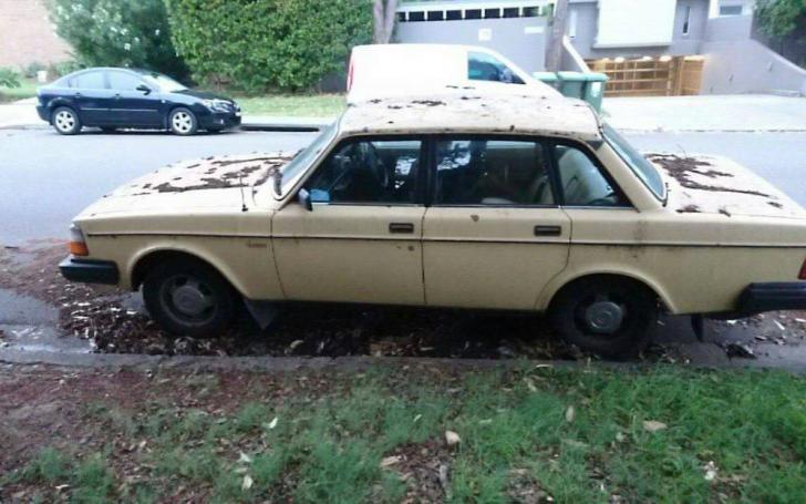 Volvo 244 - taip atrodė prieš perkant Volvo 244 - taip atrodė prieš perkant