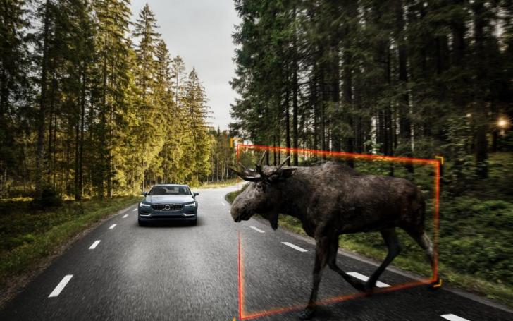 Volvo V90/Gamintojo nuotrauka